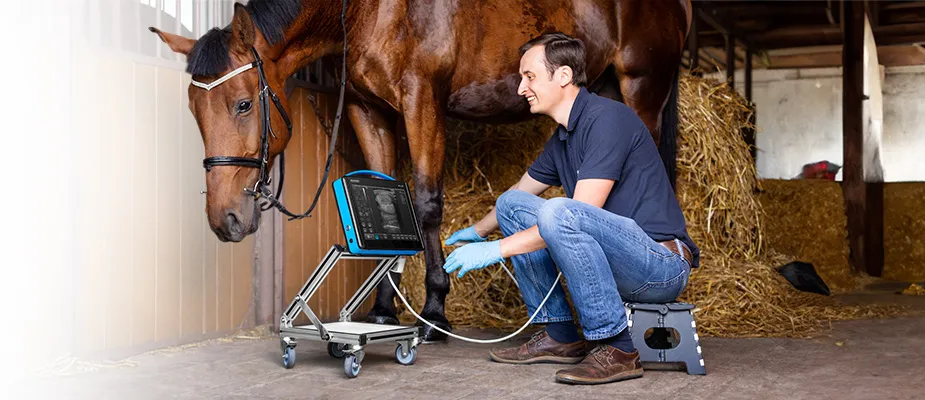 BLUE WET Dramiński – echographe veterinaire pour diagnostic chez les chevaux
