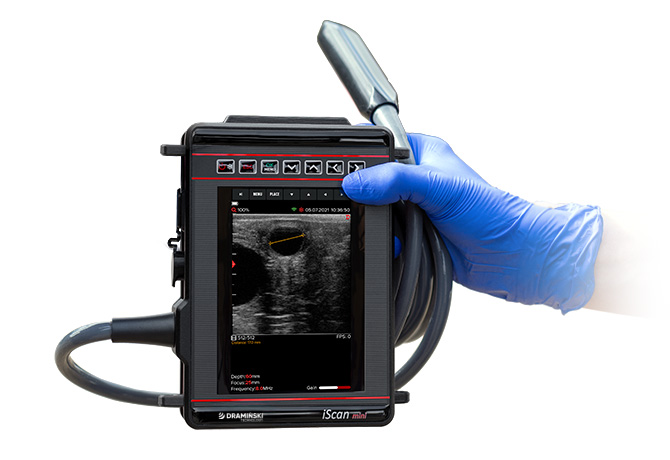 Dramiński ultrasonograf weterynaryjny z sondą rektalną liniową