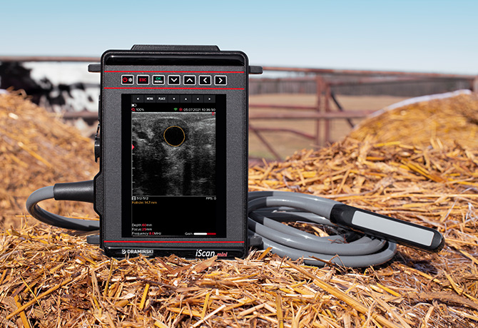 Dramiński ultrasonograf weterynaryjny do diagnostyki zwierząt gospodarskich