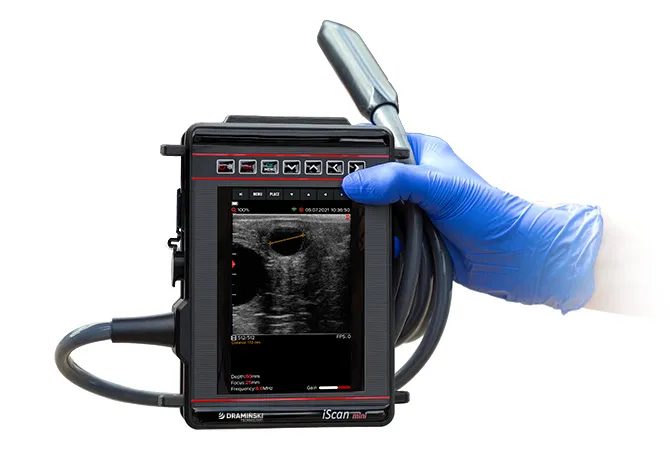 iScan Mini Dramiński – echographe veterinaire portable tenu dans la main