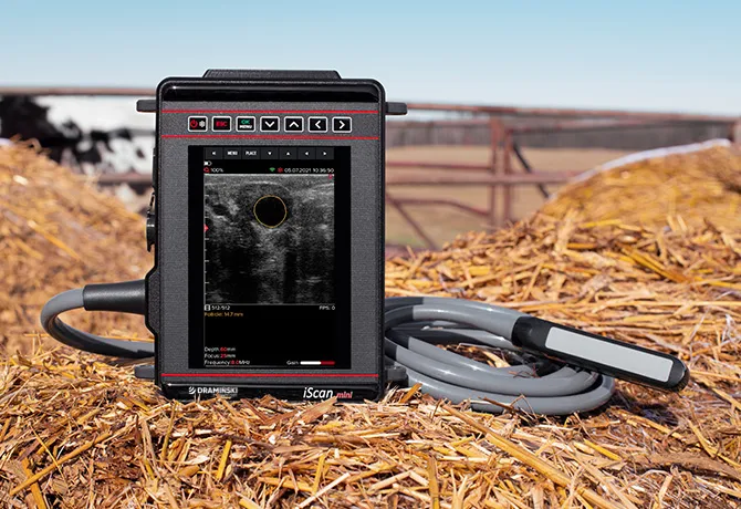 iScan Mini Dramiński – utilisation de l echographe veterinaire en pratique