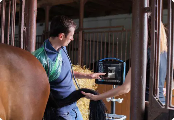 Technologie Dramiński – ressentez la difference en echographie veterinaire