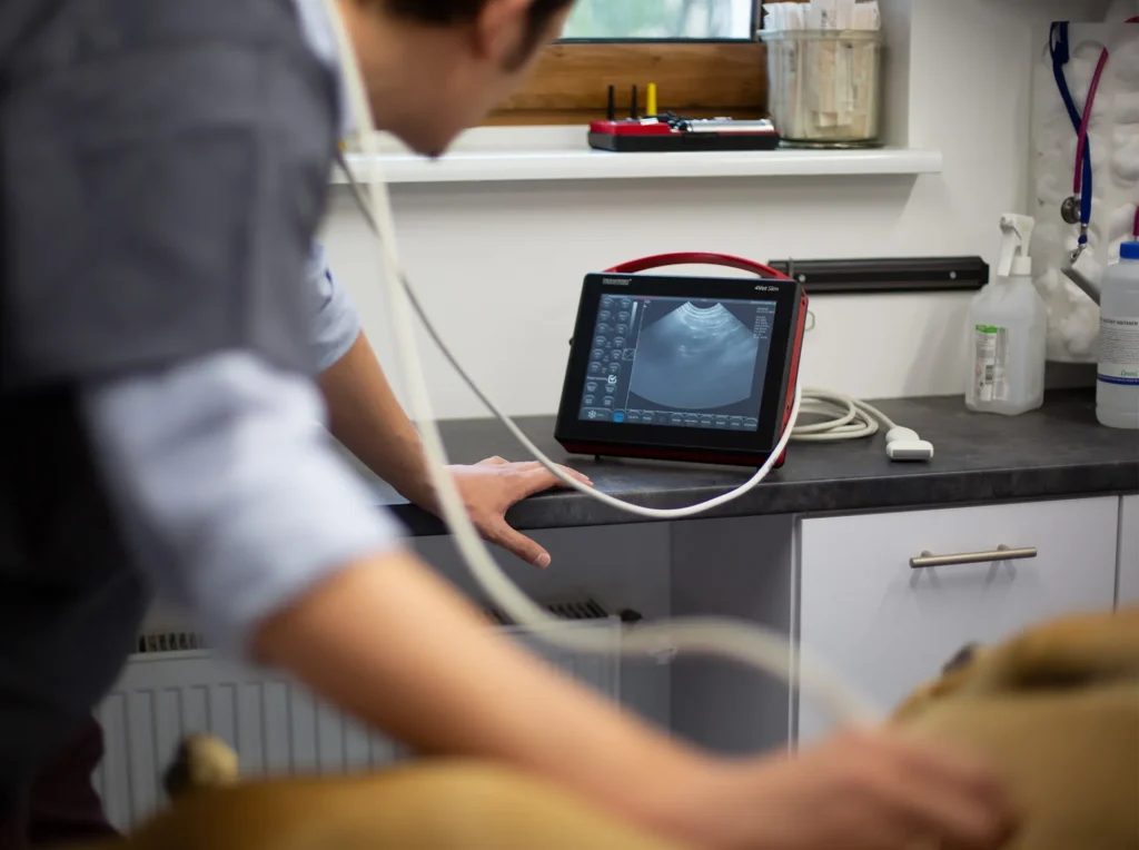 4VetSlim Dramiński – utilisé en clinique vétérinaire