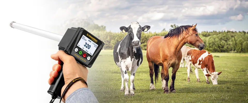 Détecteur de chaleurs EDC pour vaches et juments – photo principale