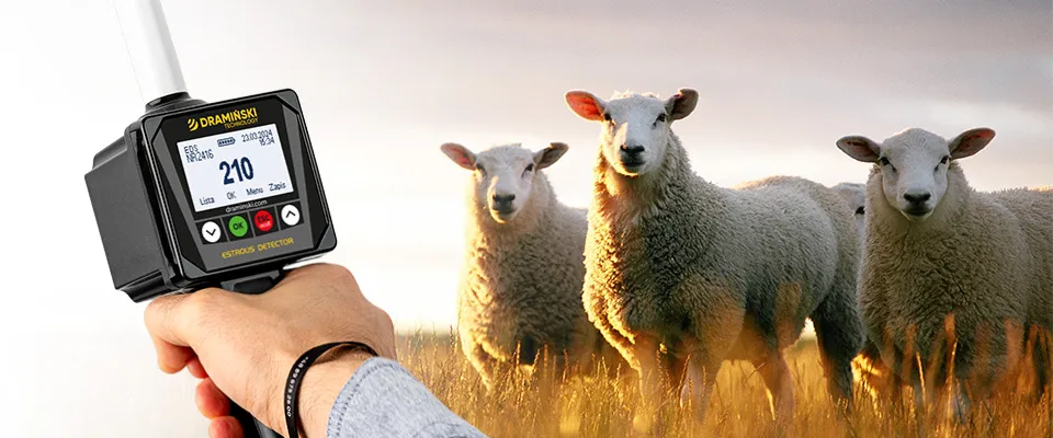 Détecteur de chaleurs EDS2 pour moutons et chèvres – photo principale