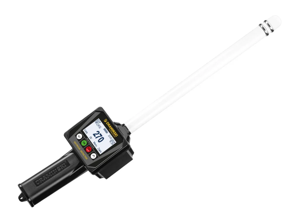 Méthode efficace pour détecter l’ovulation chez les truies