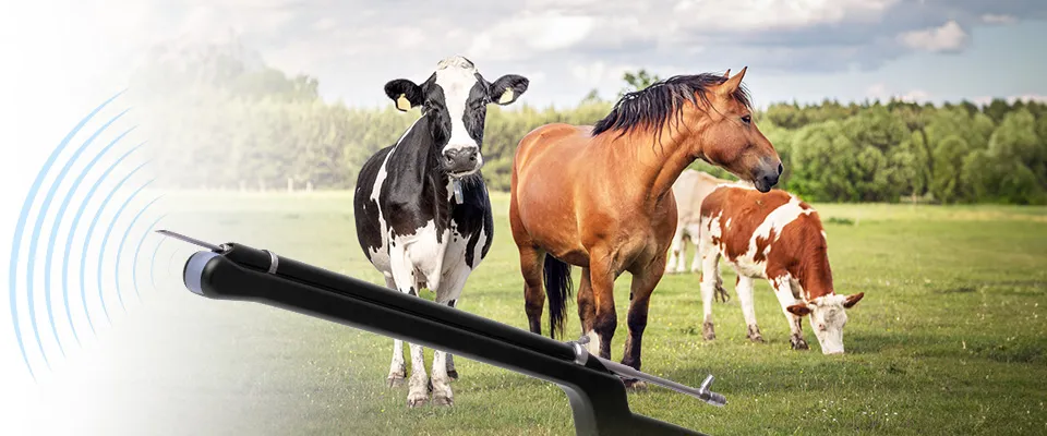 Graphique principal – système OPU Dramiński