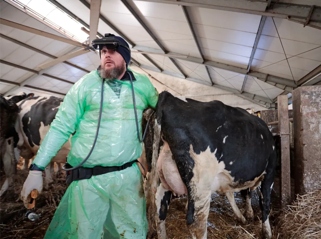 iLens Dramiński – lunettes sans fil pour diagnostic échographique des animaux