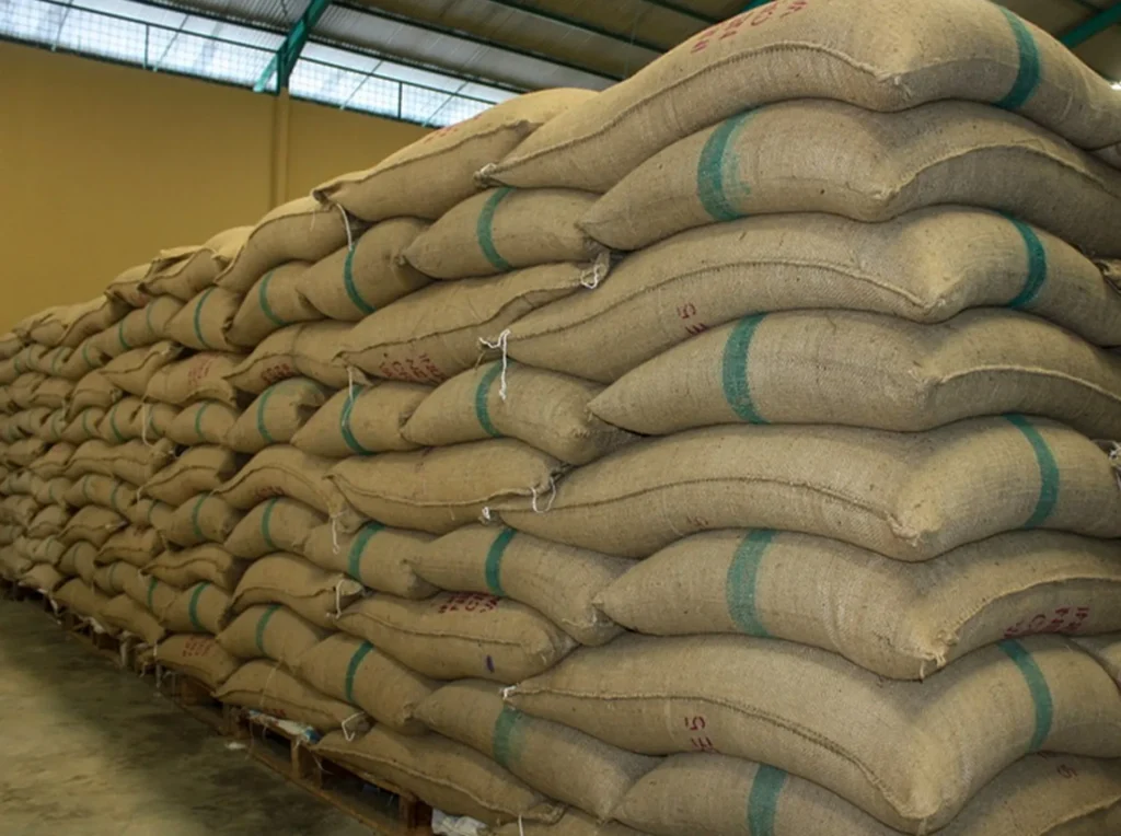 Humidimètre HMM&G – exemple d’utilisation 1