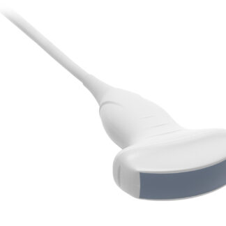 Diagnostyka ciąży u owiec i kóz. Jama brzuszna i klatka piersiowa u bydła i koni. Okolica pępkowa u cieląt.