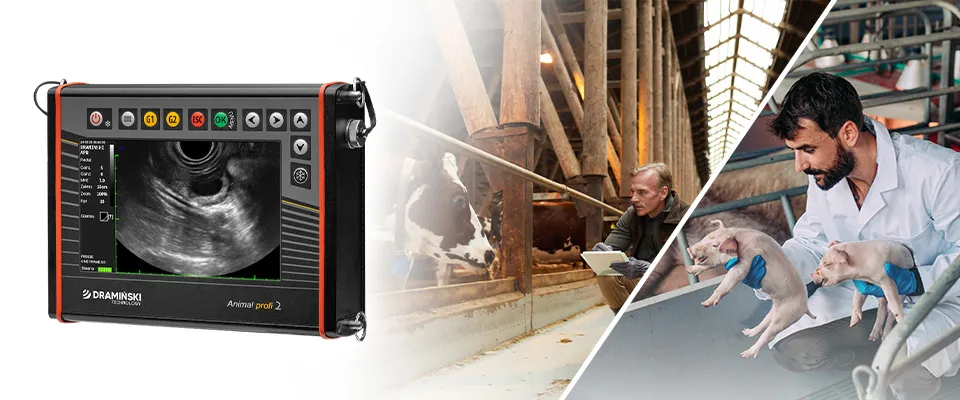 Appareil à ultrasons vétérinaire AnimalProfi2 Dramiński – vue principale